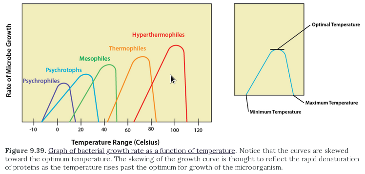 OptimalTemp.png